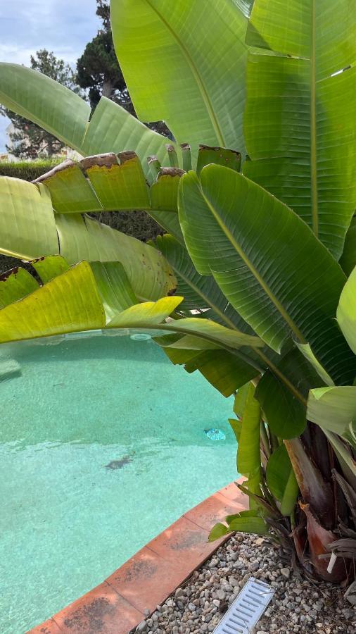 Ocean, Surf, Golf Private Villa With Pool Near Lagoon Casal do Narcizo Exterior foto